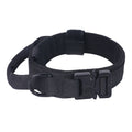 Adjustable Nylon Dog Collar