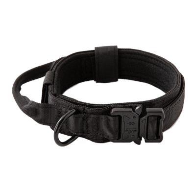 Adjustable Nylon Dog Collar