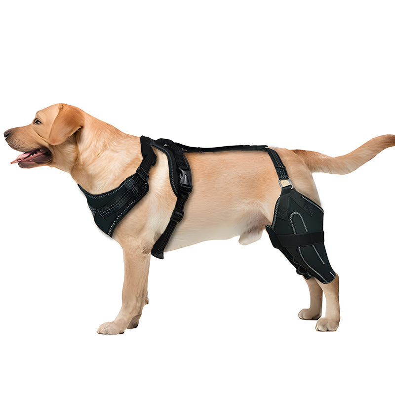 Adjustable Dog Hind Leg Brace with Metal Support