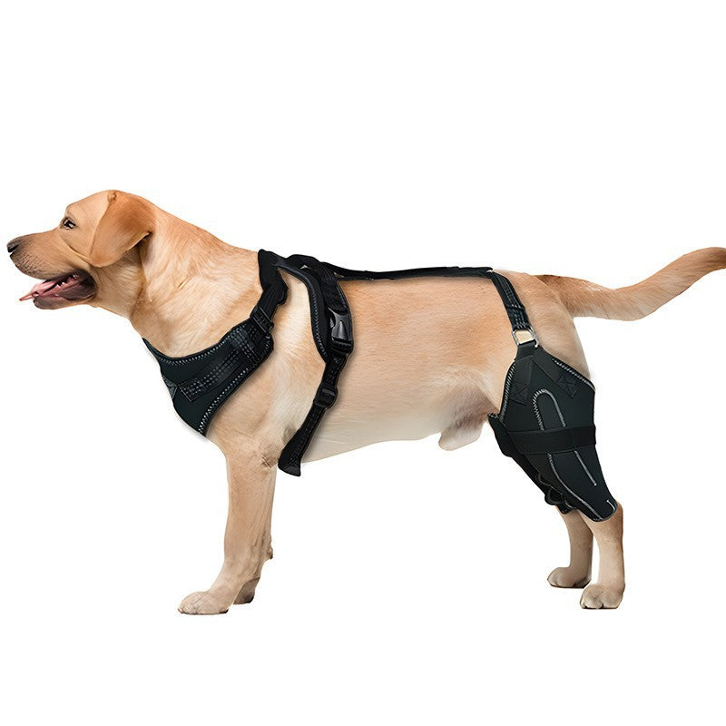 Adjustable Dog Hind Leg Brace with Metal Support